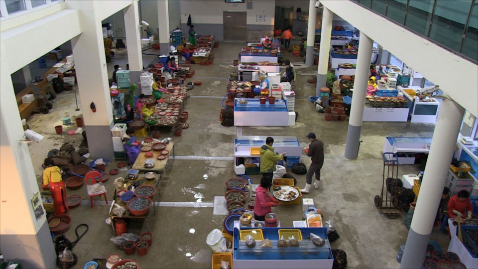 부산에 <em class='find'온라인카지노 경찰</em '관광형 위판장' 건립 <부산