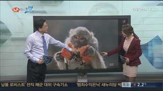 [클릭! 베스트 컷] 오늘은 ‘뷔페’ 먹는 날 外