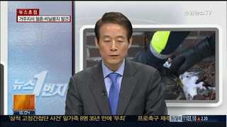 [뉴스1번지] 팔달산 토막 살인 조선족 피의자에 영장