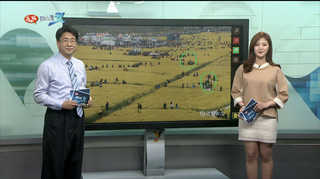 [클릭! 베스트 컷] 봄에 취한 '직박구리' 外