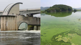 "수문 열렸다" 낙동강 녹조 사라질까 <대구>