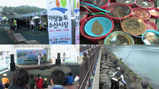 신바람 장터…강진 마량 놀토 수산시장