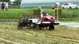 모내기 신기술…'부분 경운 농법' 눈길 <전남