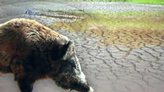 자연의 역습, 가뭄에 온라인카지노 사이트까지…농가 '한숨' <강원