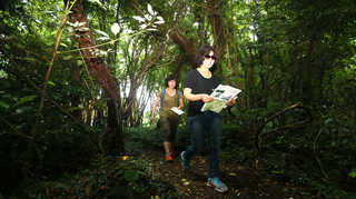 제주의 숲 '곶자왈' 도립공원으로 조성