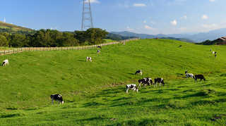 시원한 고원의 여름…'평창 여행의 매력'