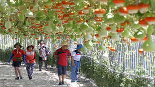 태화강에 덩굴 식물 열매…청량감 높여 <울산
