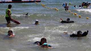 "과자 봉지와 바지만으로도 생존할 수 있어요" <부산