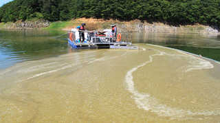 폭염에 이번엔 충북 내륙 녹조까지...