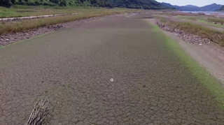 보령호 말랐다…충남 서북부 제한급수 초읽기