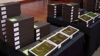 <em class='find'산림조합</em, 우량 산양삼 첫 공판 <카지노배팅법충남