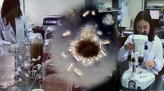 해양생물로 <em class='find'온라인카지노 소울카지노</em 처리…세계 최초 개발 <경기