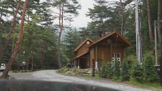 '기품있는 금강송'의 고장…온라인카지노 합법 사이트 <em class='find'영양</em