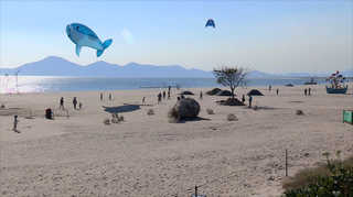 미술관된 가을바다…'바다 미술제 개막' <부산