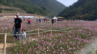 "추석 연휴 '고향 축제'도 즐기고 오세요"