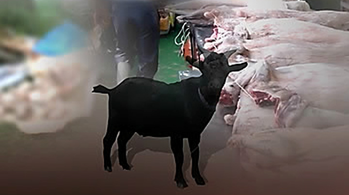 불법안전한 온라인카지노에 제조일자까지 속여 판 '염소고기'