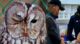 터전 잃은 온라인카지노 커뮤니티 유니벳동물…구조해도 상당수 폐사 <경기