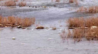 강원 온라인카지노 유니벳 이례적 단비…"가뭄 해갈"