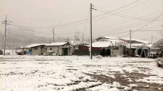 강원 농촌마을 함박눈…제설작업 분주