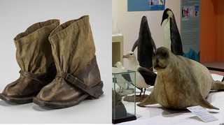 "아문센 장화 보러 오세요"…남극·북극 특별전 <부산