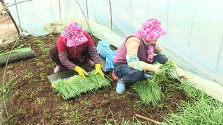 "농약 알맞게 쓰세요" 전문가들 교육 나서 <부산