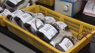 헌혈 참여자 급감…혈액 수급 비상 <강원