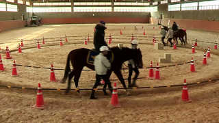 소외된 청소년 힐링 돕는 <em class='find'온라인카지노 추천</em 기마경찰대