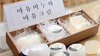 말기름ㆍ말뼈로 화장품 개발…온라인카지노 조작노화 억제 효과 <제주