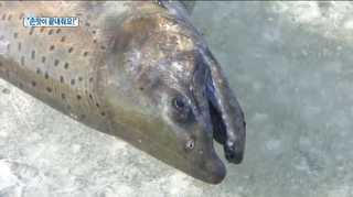 [클릭! 베스트 컷] "손맛이 끝내줘요!" 外