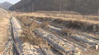 '한파에 가뭄까지'…목타는 강원