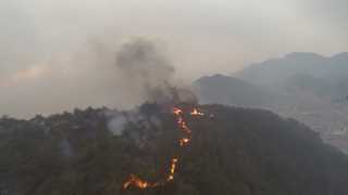 산불철이 돌아왔다…선거 있는 짝수해 <대전