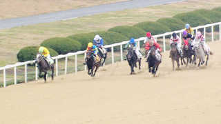 앞으로 순수혈통 '온라인카지노 후기 벳위즈'로만 경주한다
