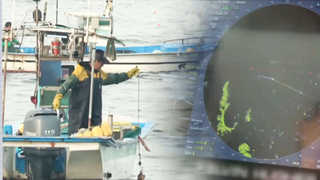 GPS 교란 동해 최북단…'긴장 속 첫 조업' <강원