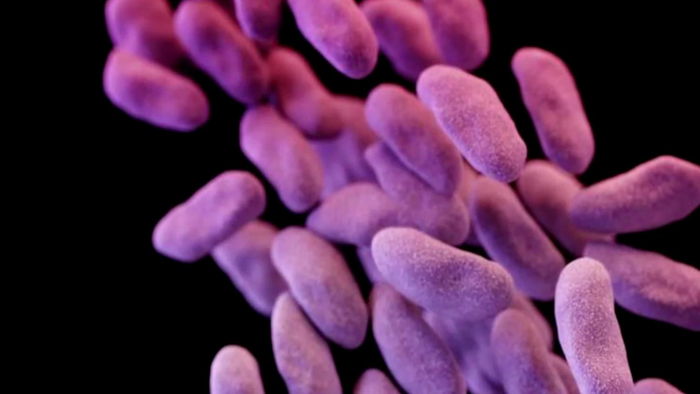 한국-no-1-온라인카지노 안듣는 '끝판왕 <em class='find'슈퍼세균</em' 중국ㆍ유럽 이어 미국서도 확인