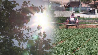 때 이른 온라인카지노 합법 벳무브에 농작물ㆍ가축 피해우려…예방이 상책