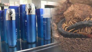 '지네로 아토피 치료'…기능성 화장품 개발