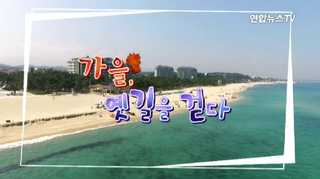 [트렌드 지금 여기] 가을, 온라인카지노 유니88을 걷다