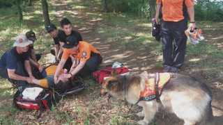 12년간 60명 구조 맹활약…부산소방본부 인명구조견 '전국최고'