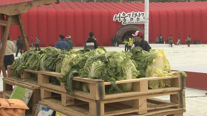 '세계를 버무리다' 온라인카지노 총판 벳위즈문화제