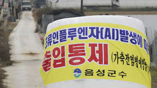 AI 확진 마을, 줄줄이 행사 취소…적막한 '육지의 섬'