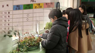 도롯가 교실 미세먼지 '심각'