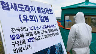 "AI 청정지역 지켜라" 제주도 방역 총력