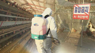 카지노 꽁 머니 확산세 다소 주춤해도…긴장의 끈 못 놓는 지자체