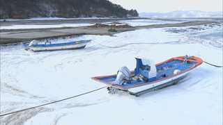 동장군 맹위에 서해 바닷물도 '꽁꽁'