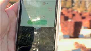 포켓몬 사냥하다 사람 잡을라…"지킬 건 지킵시다"