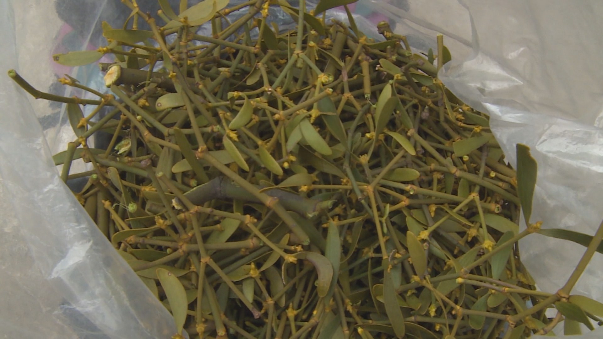 무심코 국립공원 <em class='find'바카라 카지노</em 캤다간 3천만원 벌금 '폭탄'