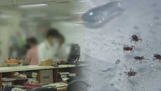 올해 첫 진드기 감염병 사망자 발생…야외활동 '주의보'