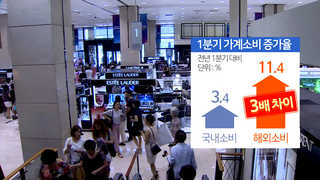 내수 어렵다더니…외국선 '펑펑' 국내선 '꽁꽁'