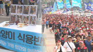 "개식용 반대ㆍ집배원 충원"…서울 도심 곳곳서 집회