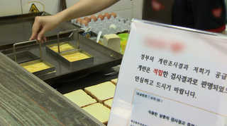 요리교실 "계란 뺀 레시피"…음식점 "안전 계란만 써요"